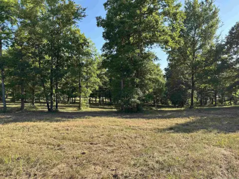 Residential Lot in Sheridan, AR