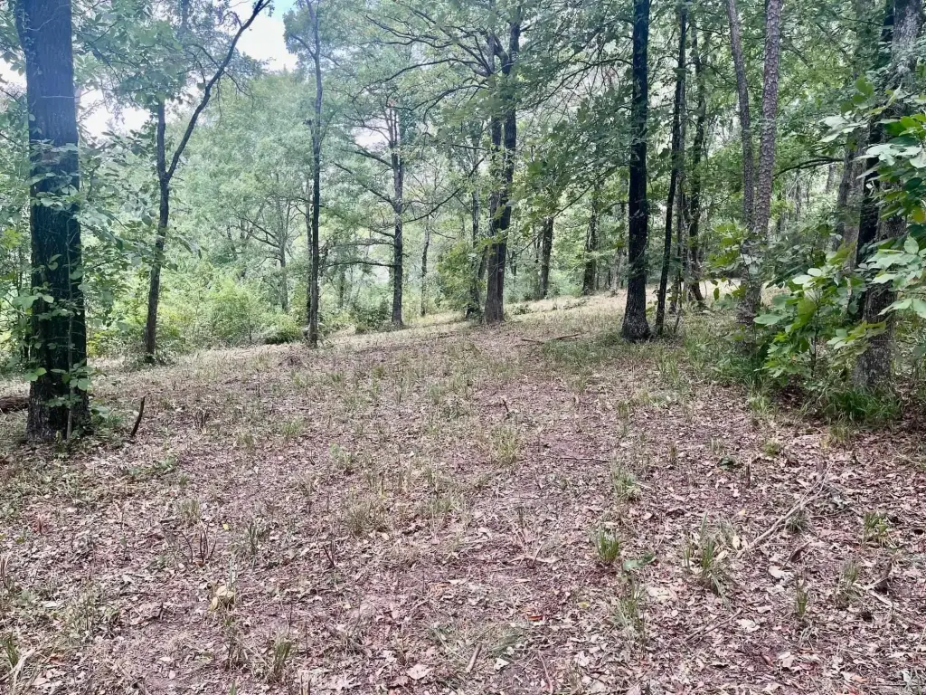 Picture 9