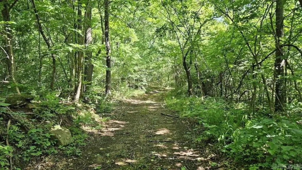 Picture 10