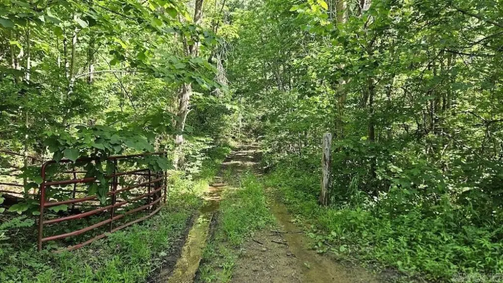 Picture 9