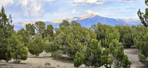Expansive Land in Elko, Nevada