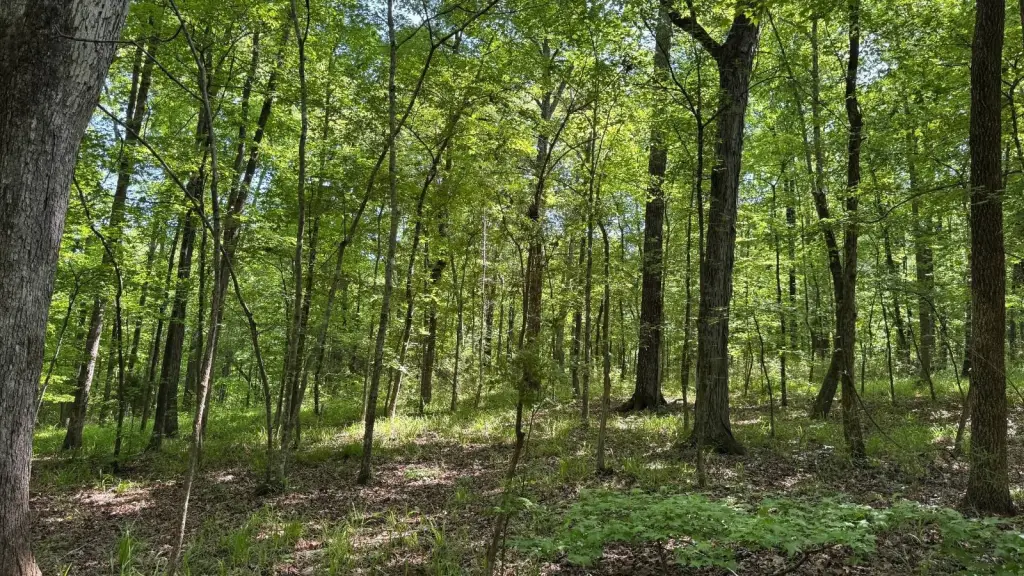 Picture 20