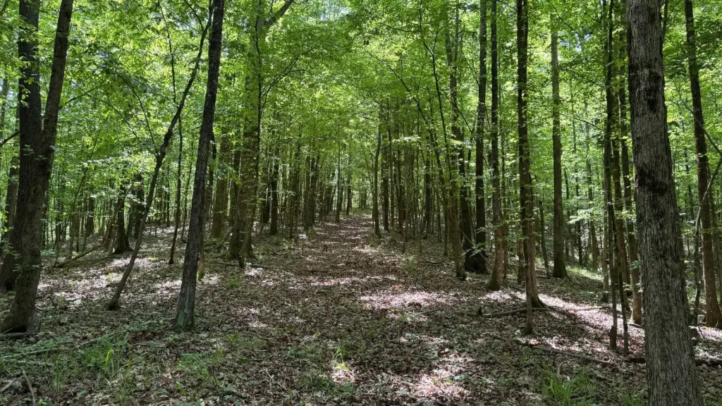 Picture 23