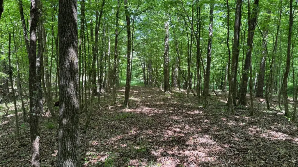 Picture 18