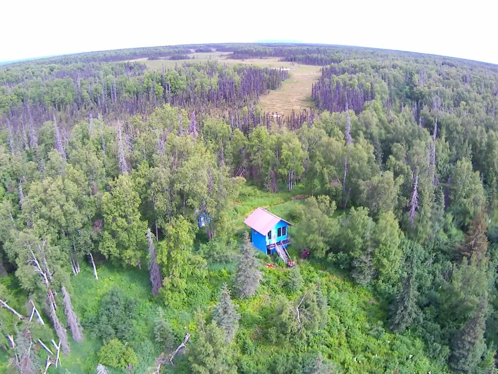 Picture 18