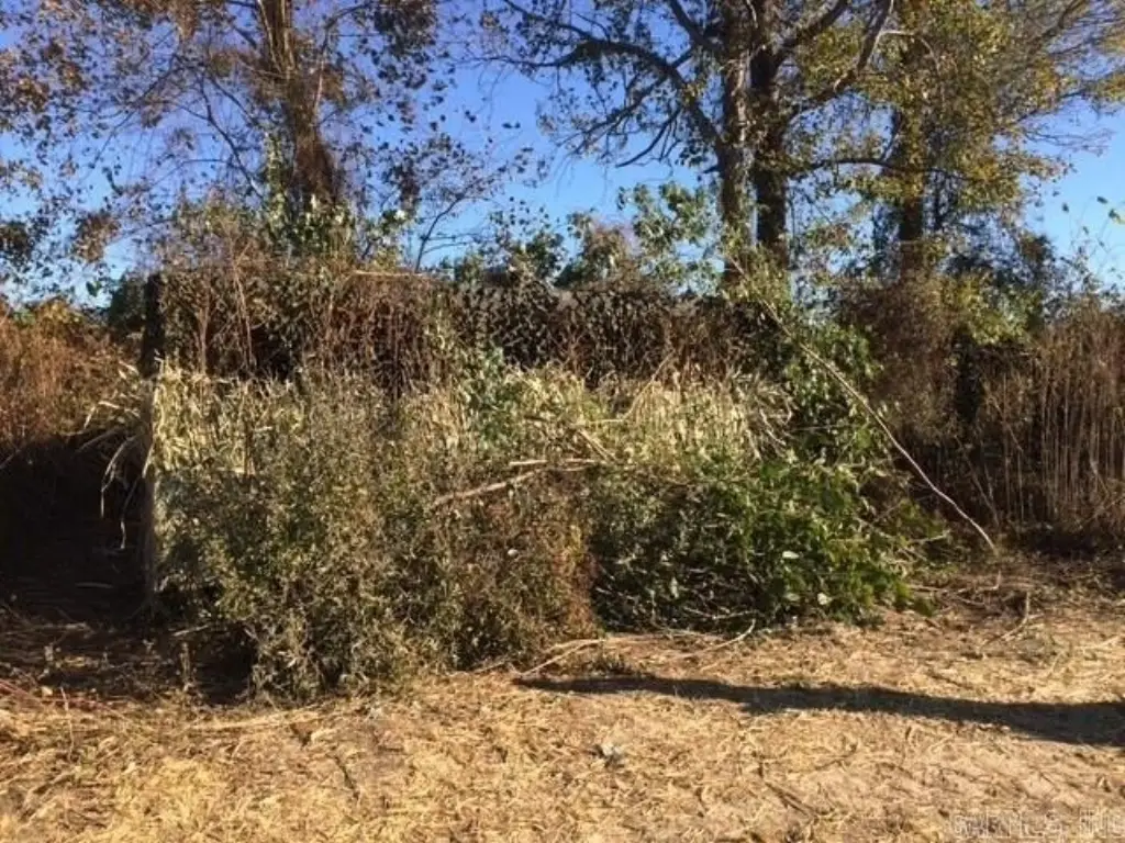 Picture 19
