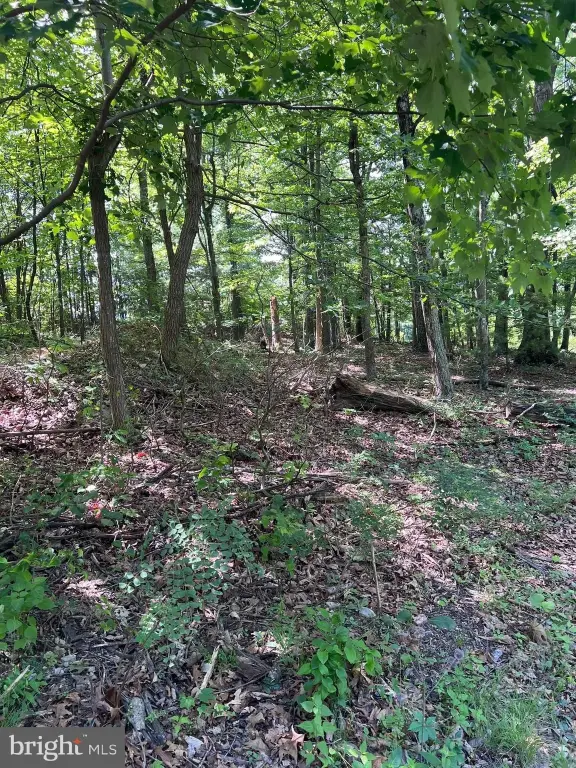 Picture 10