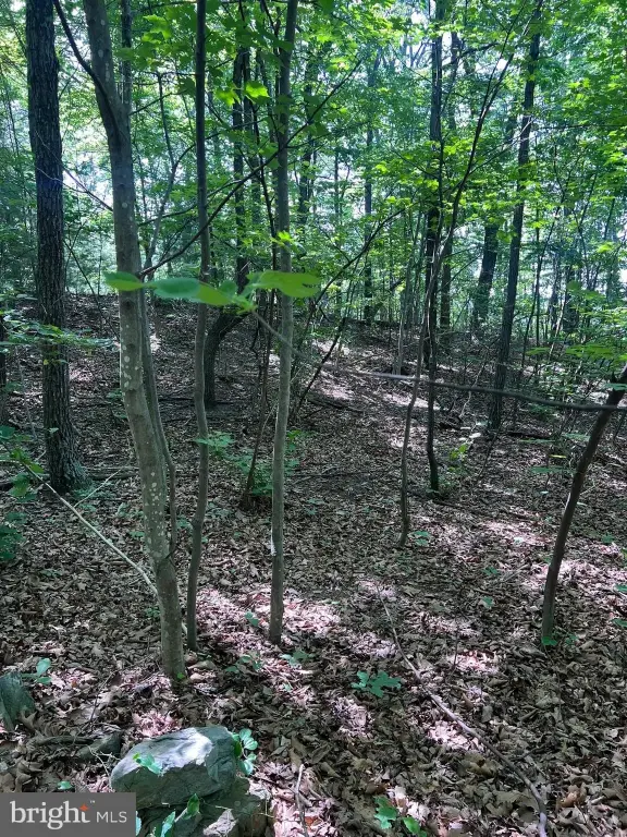 Picture 4