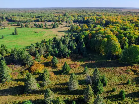 Land Parcel in Pickford, MI