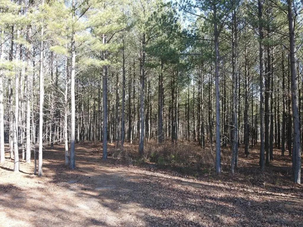 Picture 16