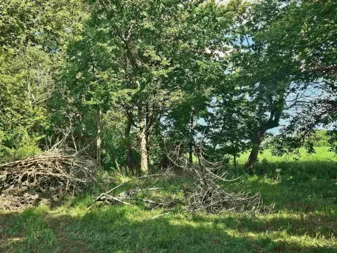OREGON, IL Industrial/Business Land