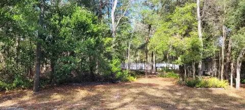 Vacant Land in Citrus Springs