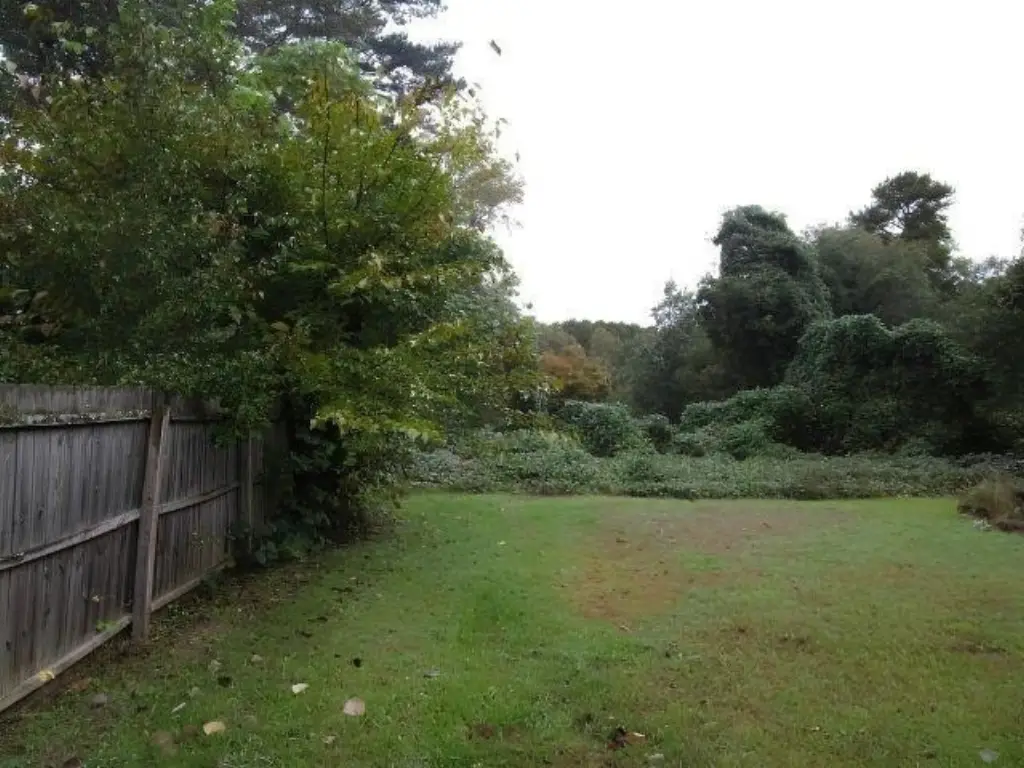 Picture 2