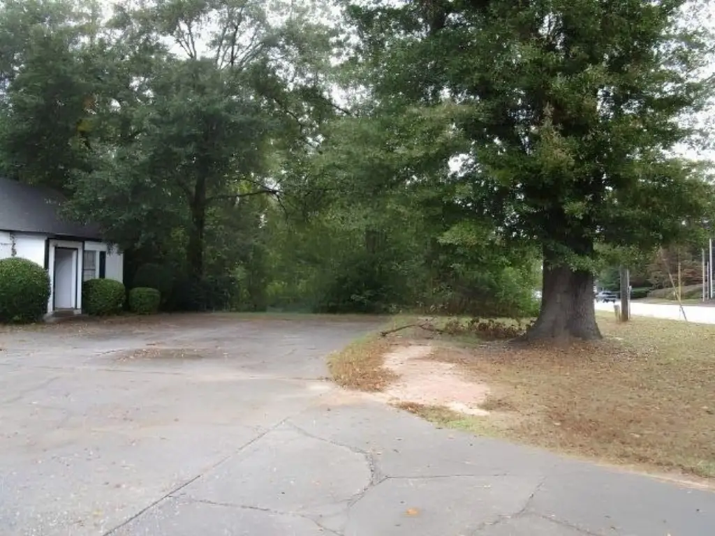 Picture 4