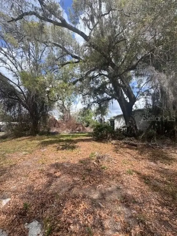 Picture 5