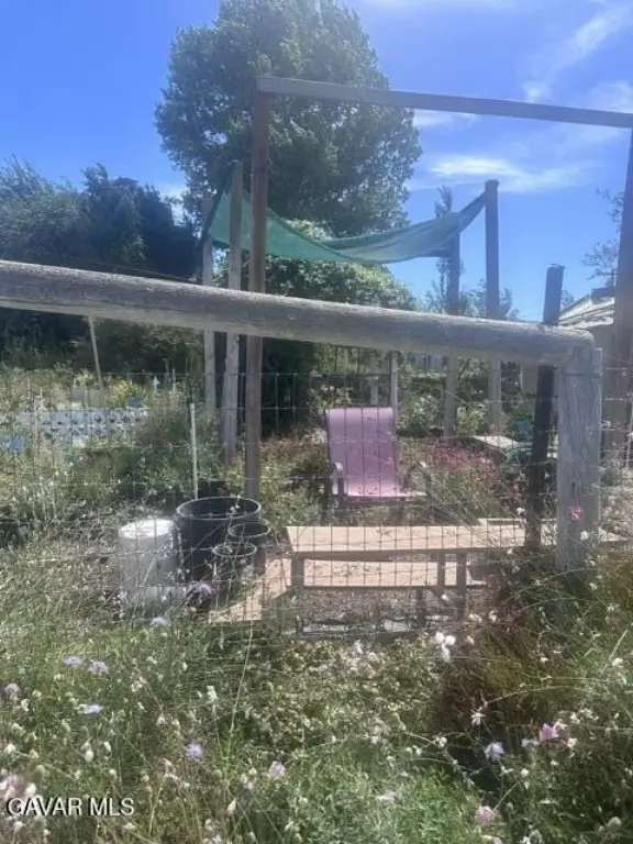 Picture 5