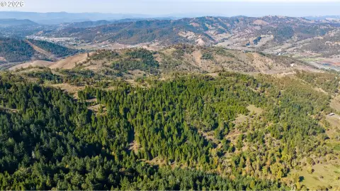 Recreation and Timber Land Tract