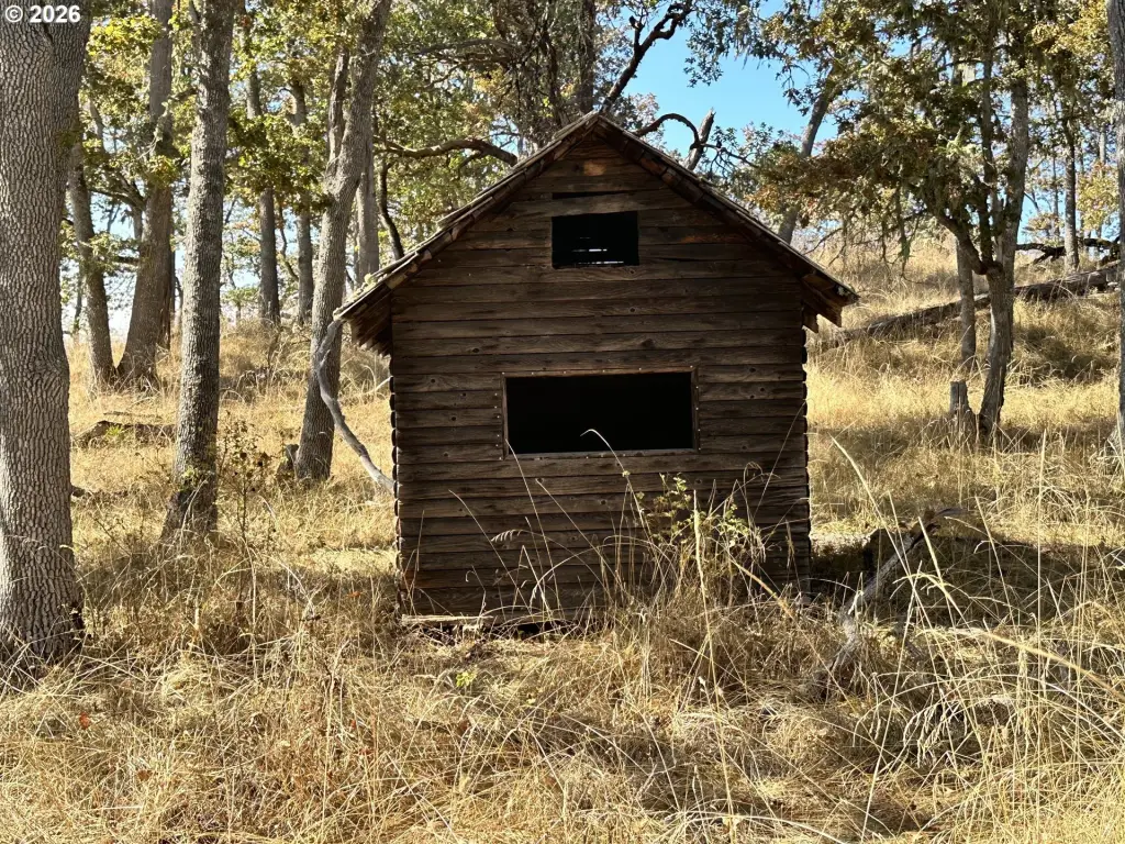 Picture 27