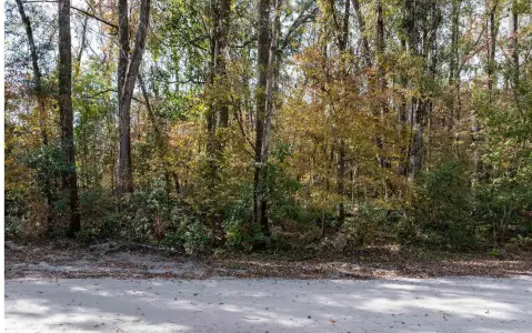 Residential Lot in Three Rivers