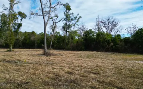 Cleared Land Near Live Oak