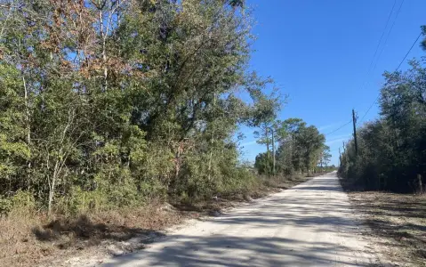 20 Acres Wooded Land