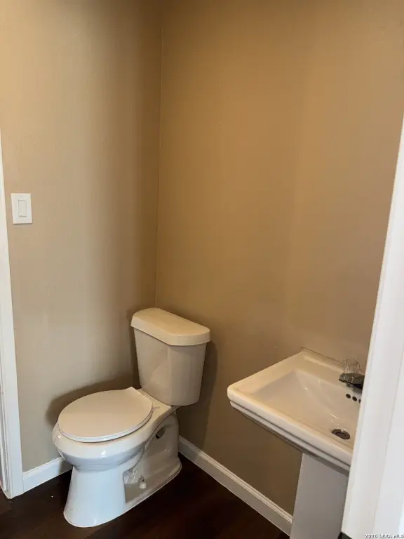 Picture 11