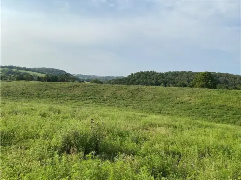 20 Acres of Prime Land