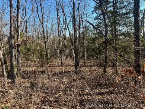 19.3 Acres in Barnett, MO