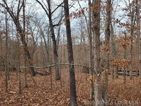 Secluded Wooded Land Parcel