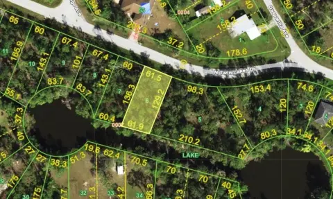 Waterfront Lot in Punta Gorda