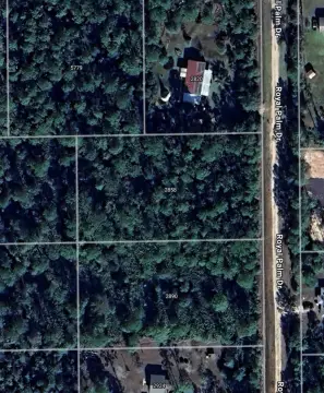 Oversized Lot in Daytona North