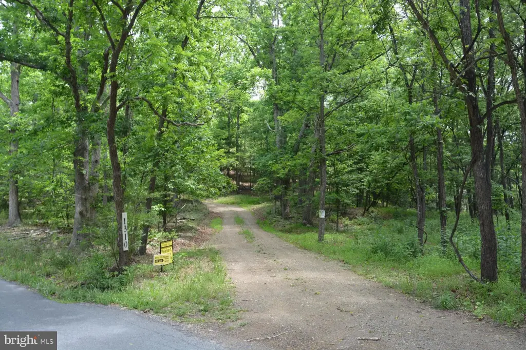 Picture 36