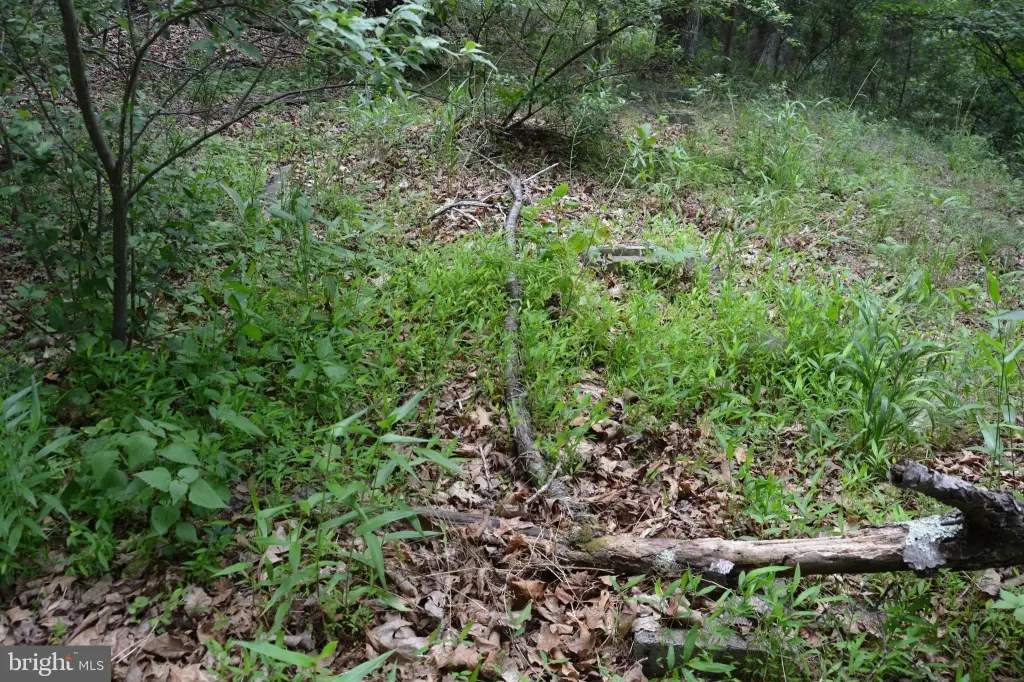 Picture 31