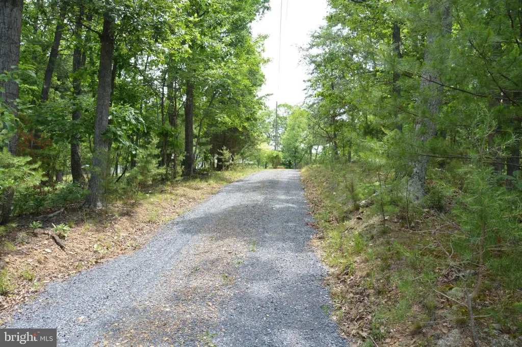 Picture 19