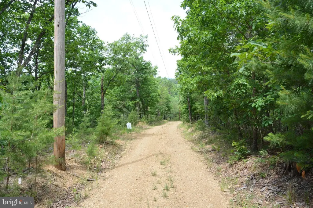 Picture 21