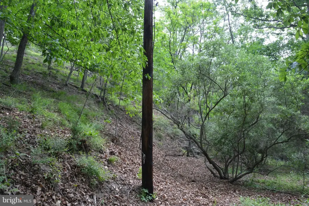 Picture 32