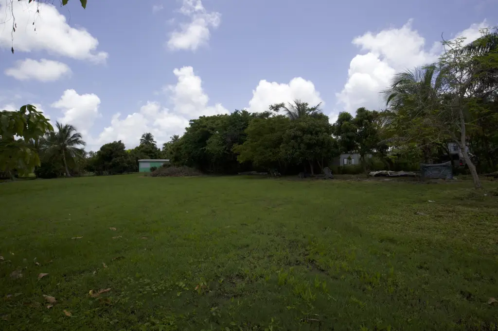 Picture 48