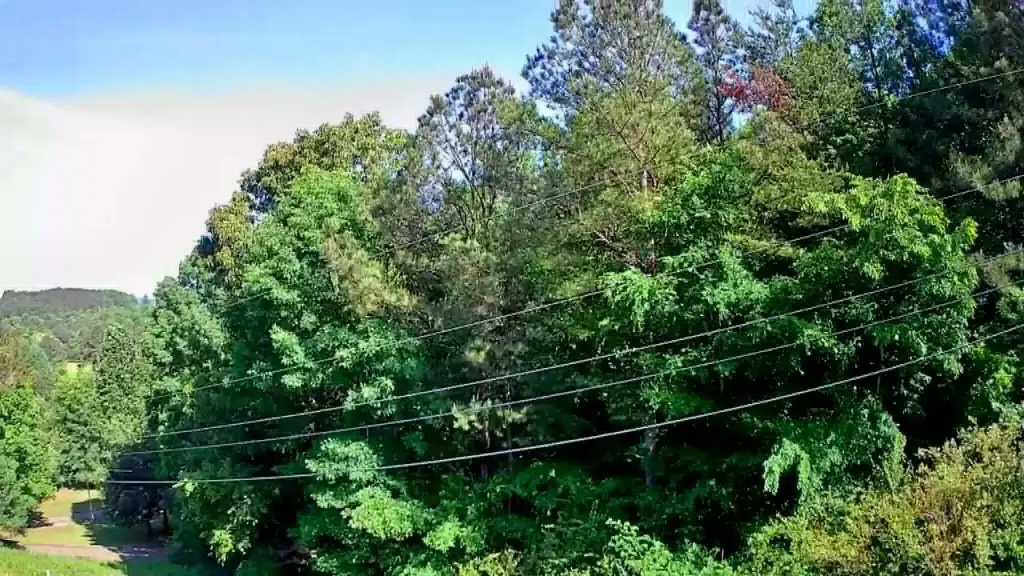 Picture 26