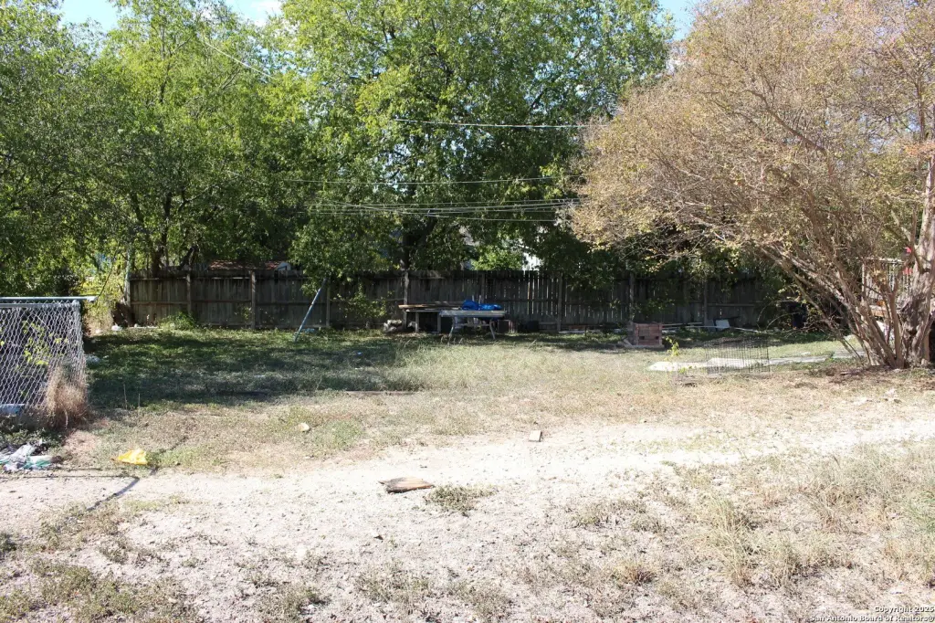 Picture 11
