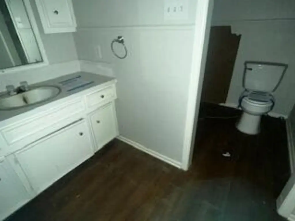 Picture 12
