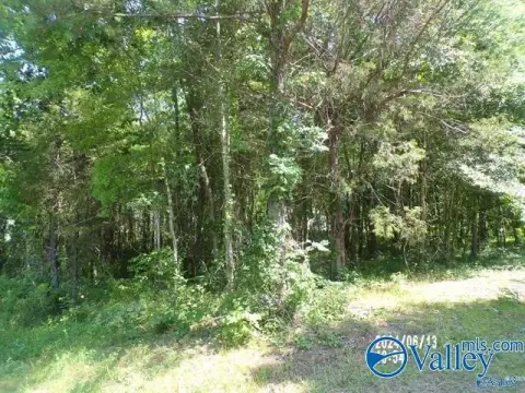 Land in Hokes Bluff, AL