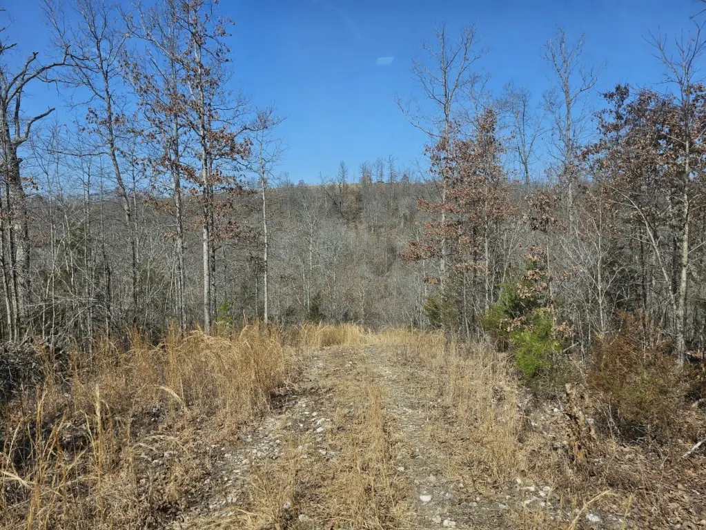 Picture 27