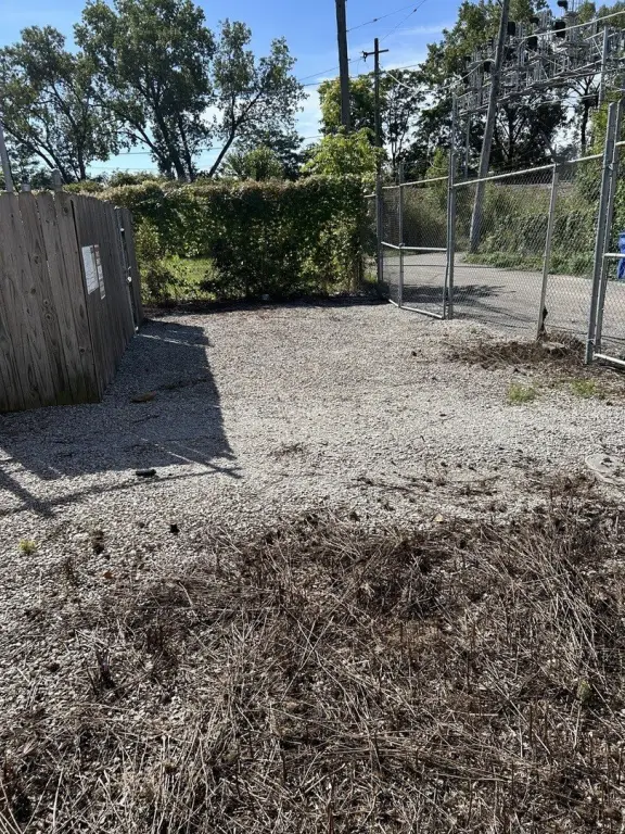 Picture 6