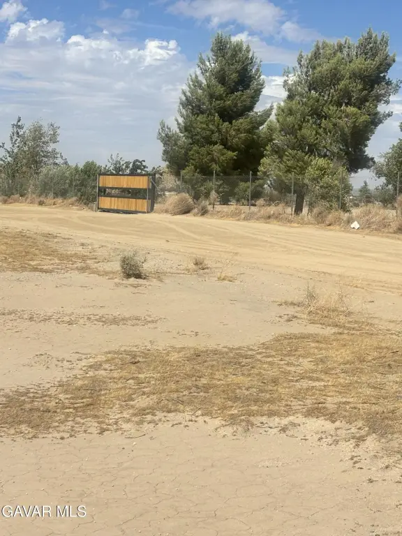 Picture 3