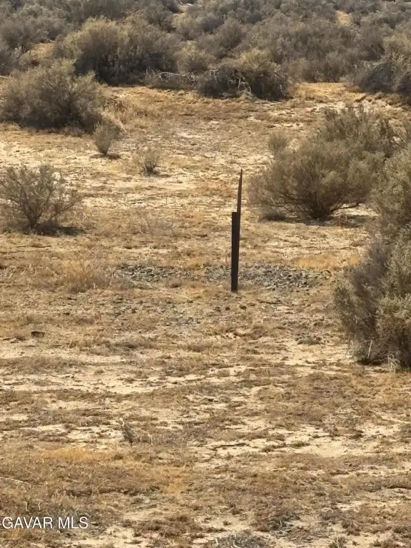 Picture 4