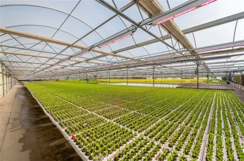 San Marcos Greenhouse Facility Lease