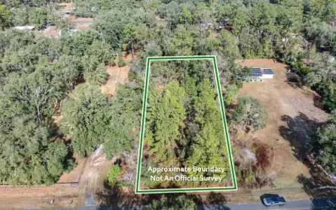 Live Oak Acreage for Residence