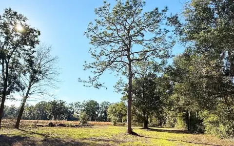 5 Acres Near Fort White