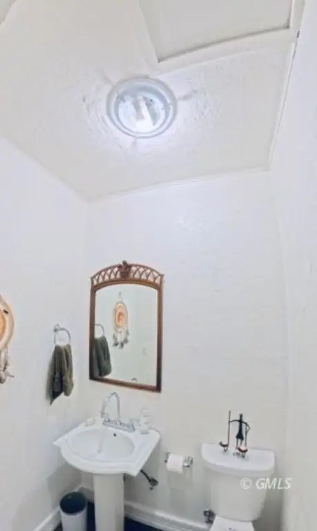 Picture 23