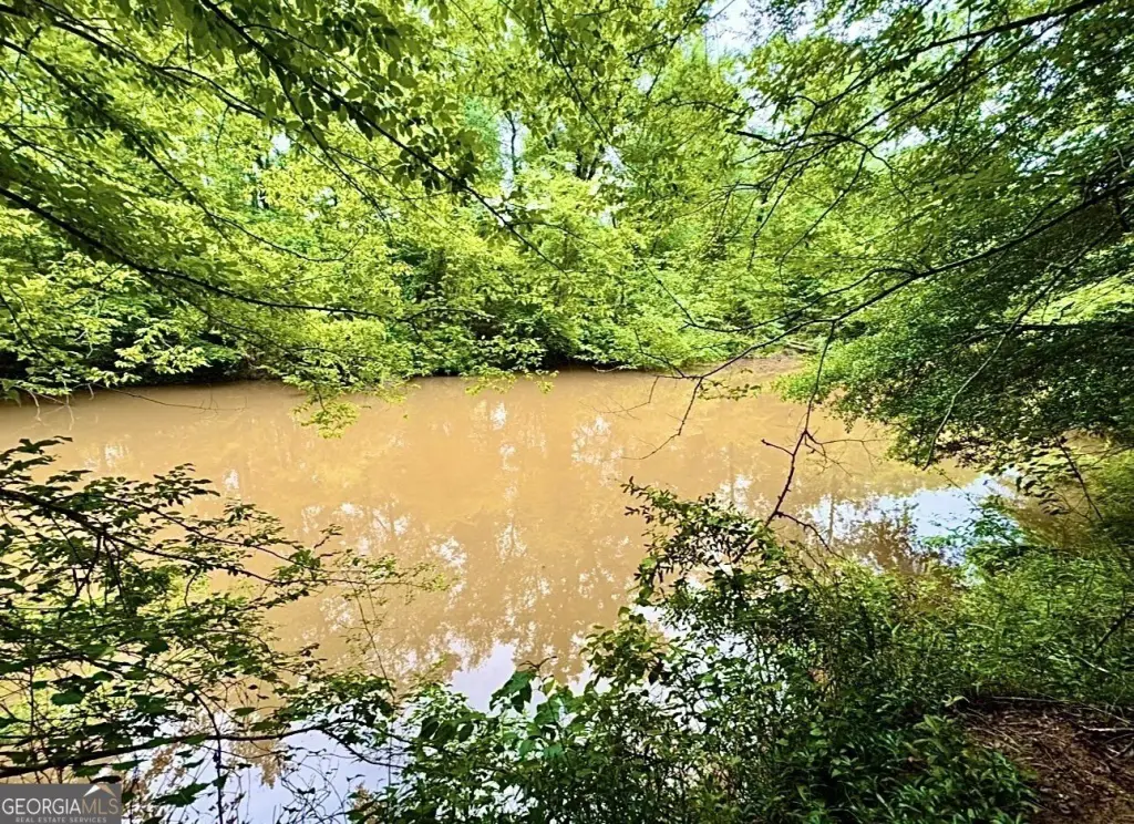 Picture 27